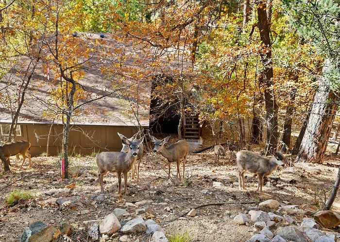 Holiday home Ponderosa Hideaway 4-br Cabinmtn Viewtrailsbrbq Prescott